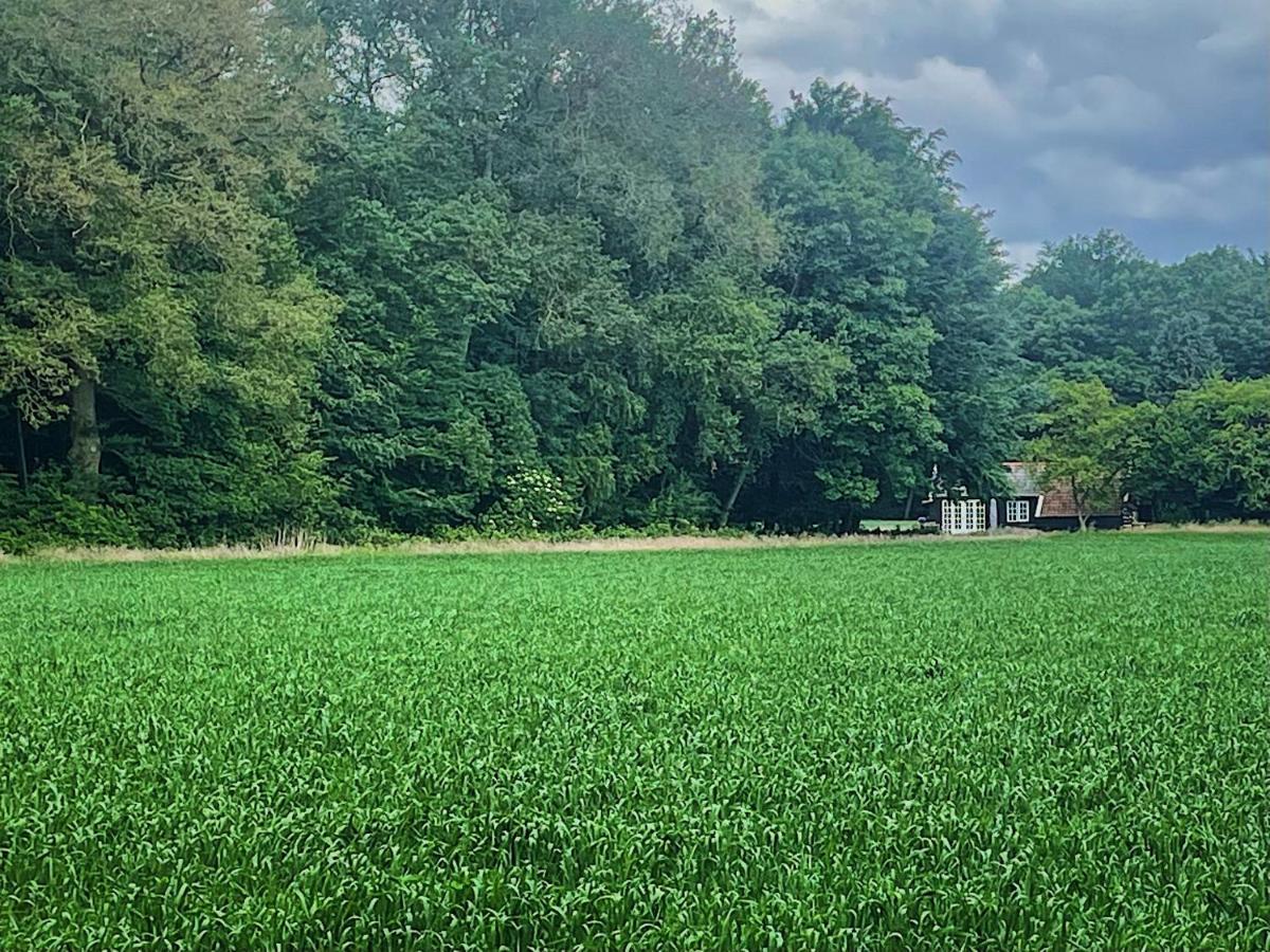 Natuurhuisje - Gastenverblijf De Kleine Hazerij Wijhe Eksteriør bilde